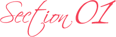 section01
